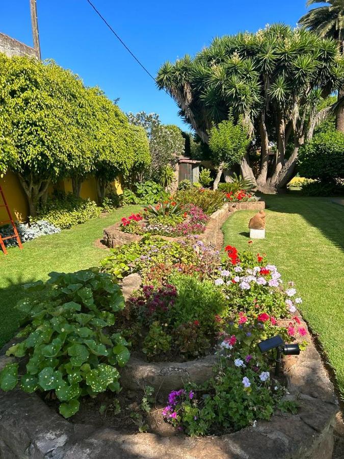 Finca El Trazo Tacoronte Eksteriør bilde