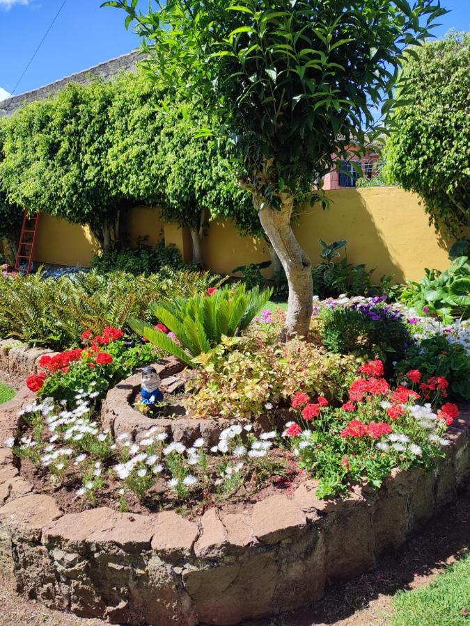 Finca El Trazo Tacoronte Eksteriør bilde
